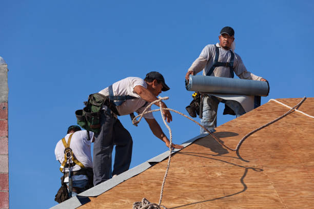 Best Commercial Roofing Services  in Ogden, UT